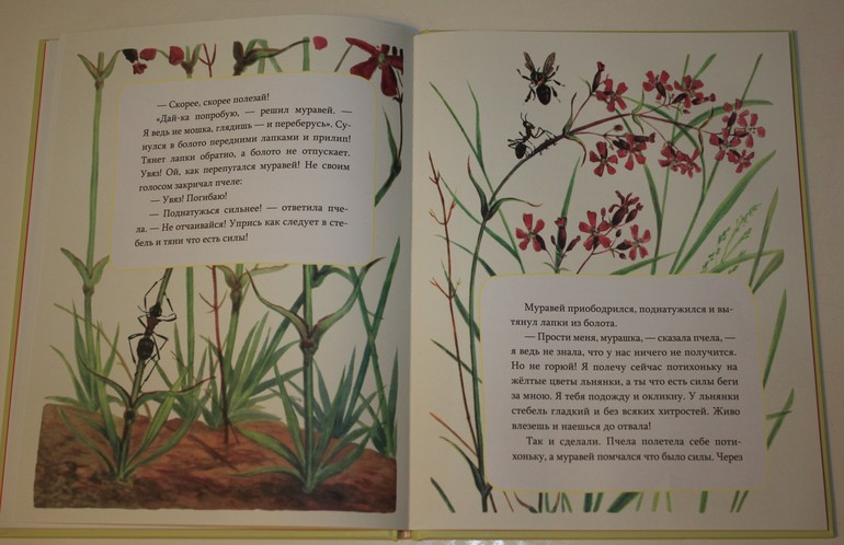 Немножко про новинки ))