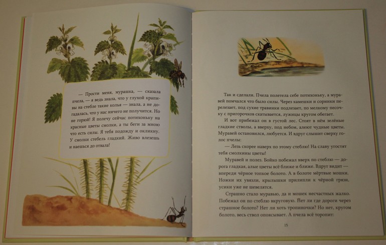 Немножко про новинки ))