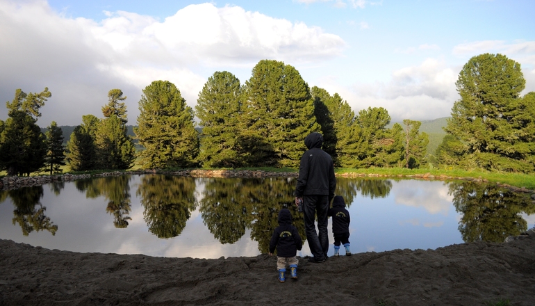 Воспоминания о лете