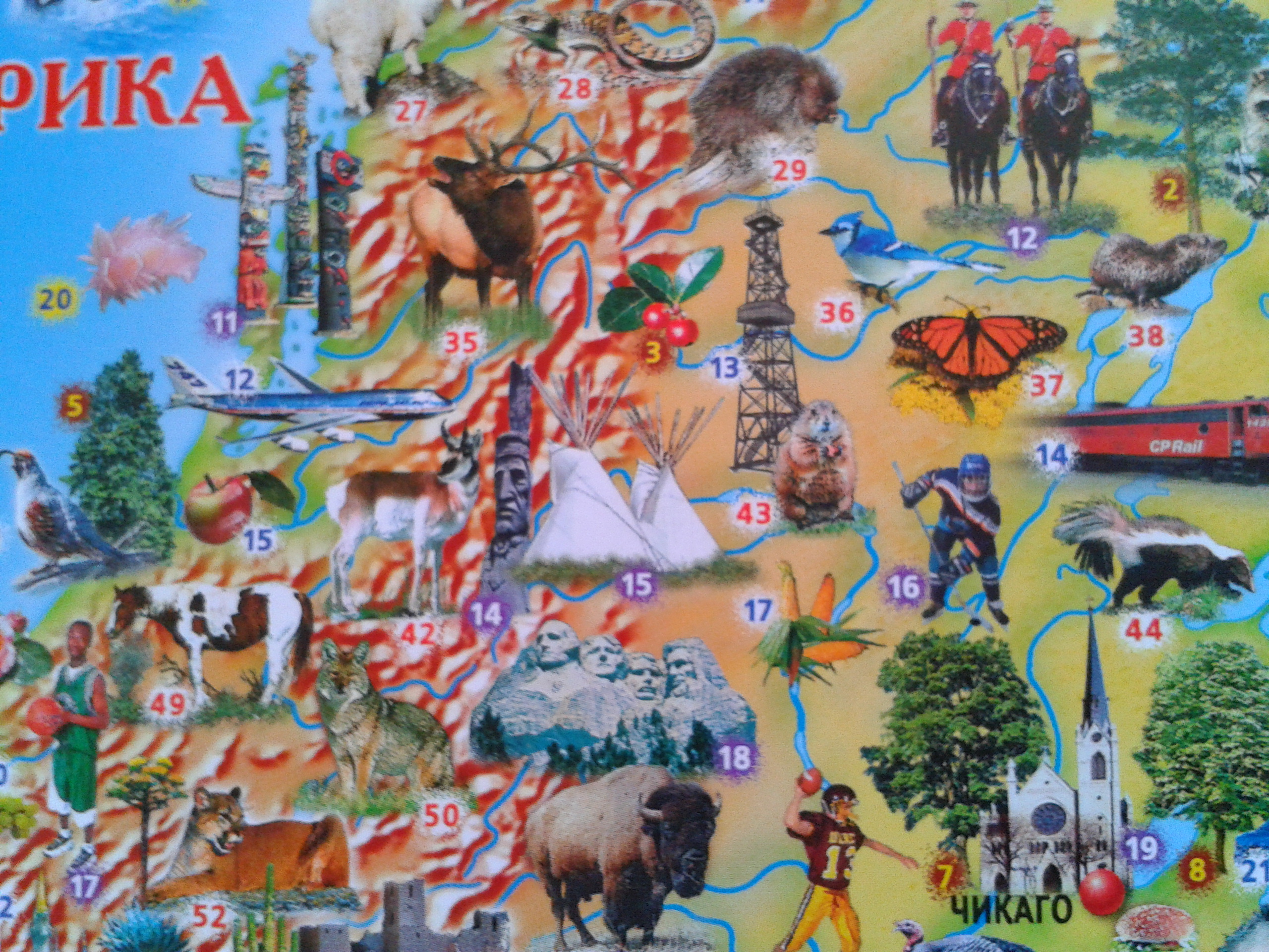 Отчет по ФМ - ТН