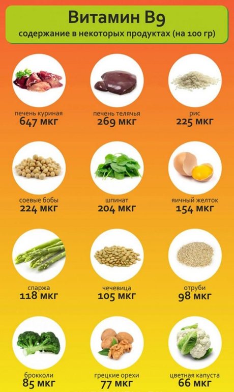 В9 в продуктах таблица