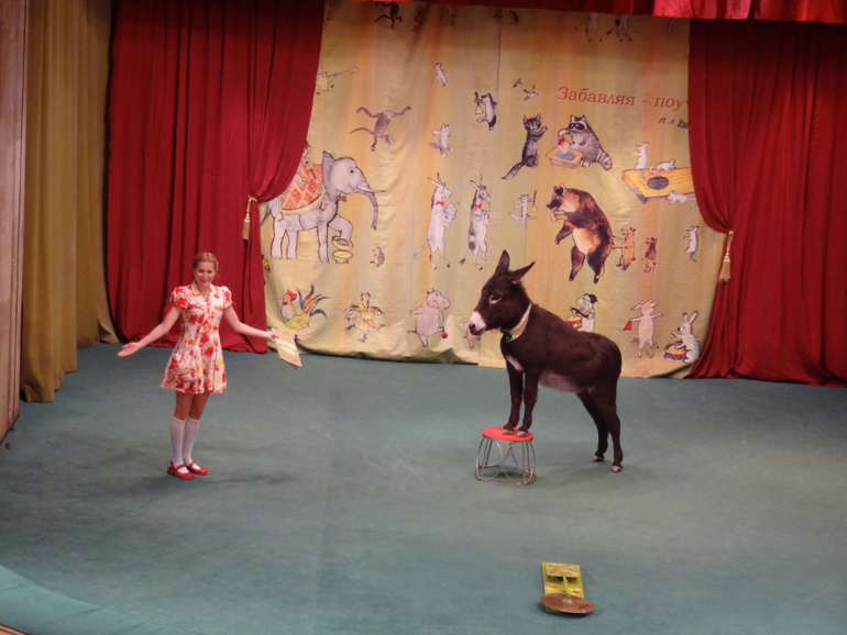 А мы сегодня были 