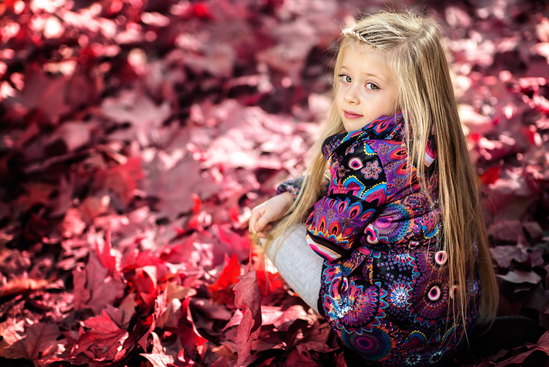 Sofi
