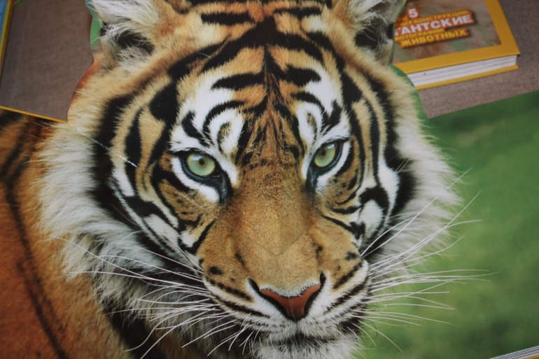 Пополнение на книжной полке)