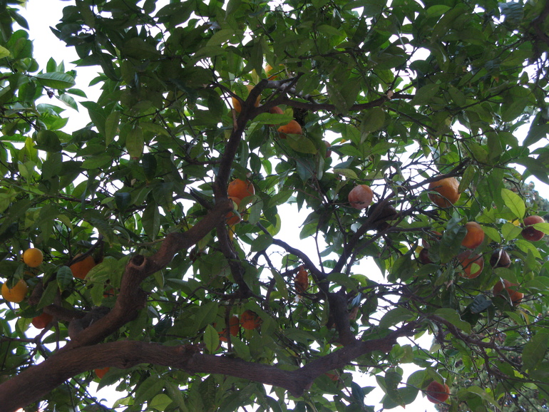 Испания. Террагона. Сентябрь 2013 г.