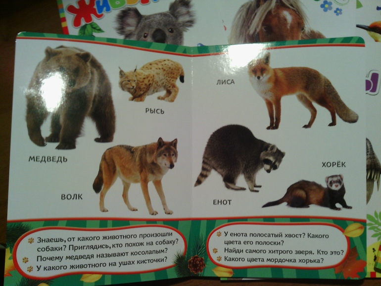 Наши книжки