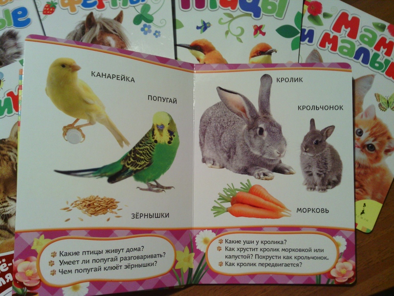 Наши книжки