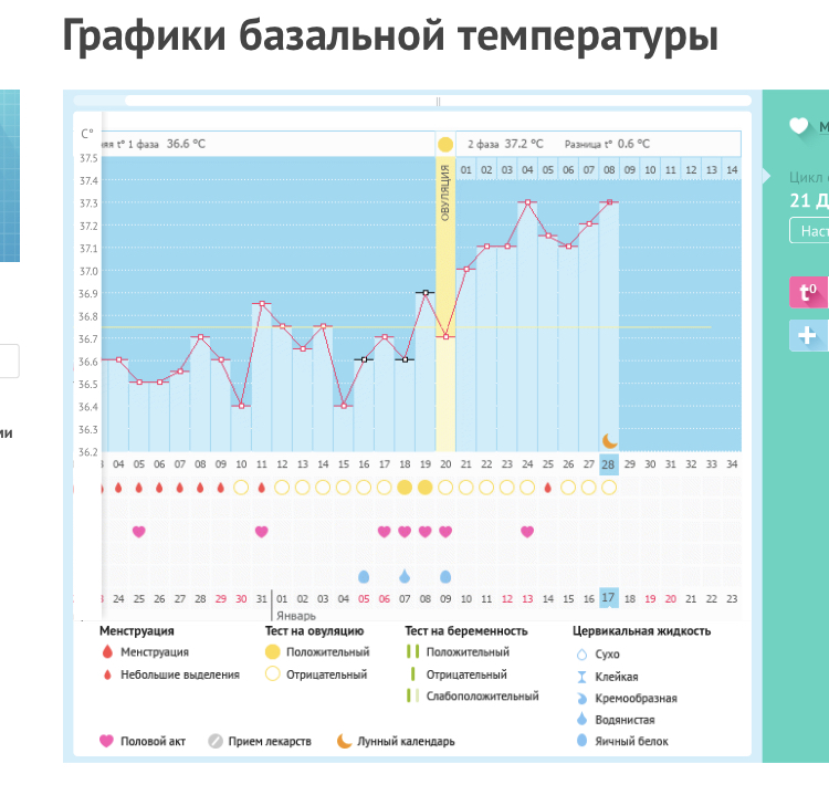 Ваш график