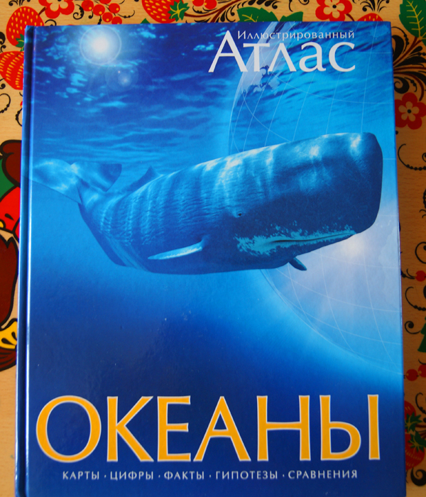 Наши зимние новинки.