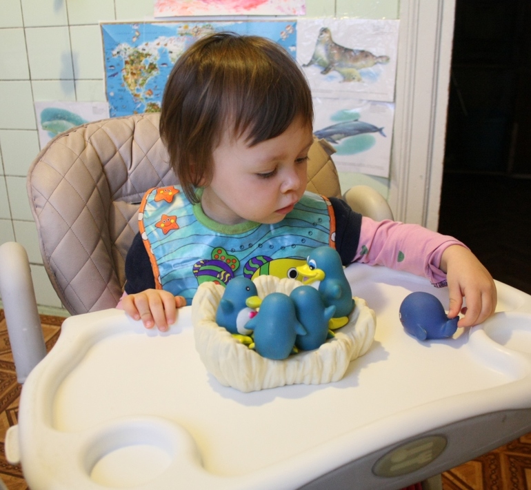 ФМ ТН Арктика и Антарктика