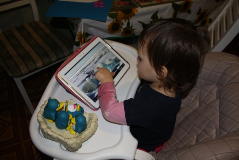 ФМ ТН Арктика и Антарктика