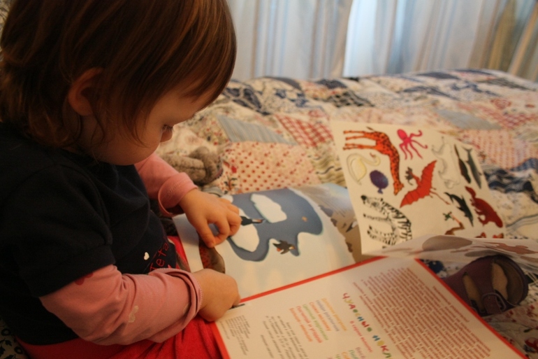 ФМ ТН Арктика и Антарктика