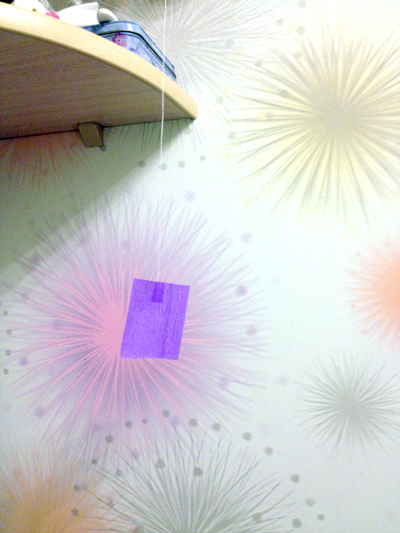 ТН «Фигуры», день первый