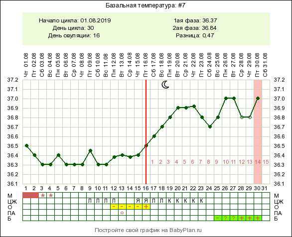 Какая температура при беременности. Беременный график базальной температуры при беременности. Беременные графики БТ С ранней овуляцией. Измерение базальной температуры при беременности на ранних сроках. График базальной температуры при беременности на ранних сроках.