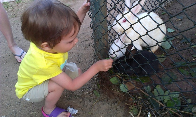 Наша первая заграничная поездка с семьей!