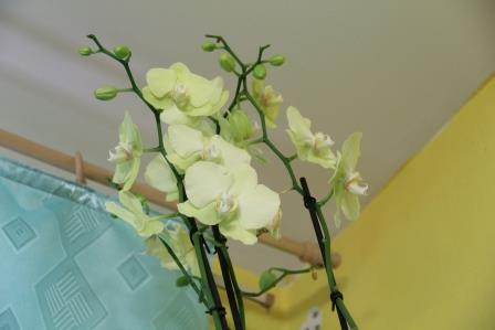 Весенее настроение