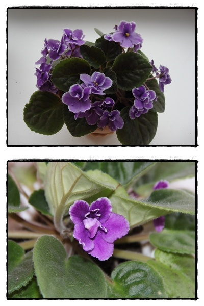 Весенее настроение