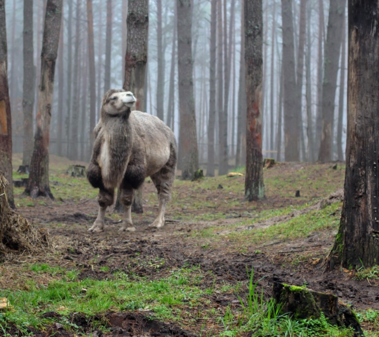 Наш отдых в выходные.