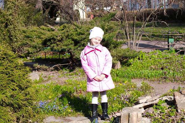 Ботанический сад на Аптекарском острове.