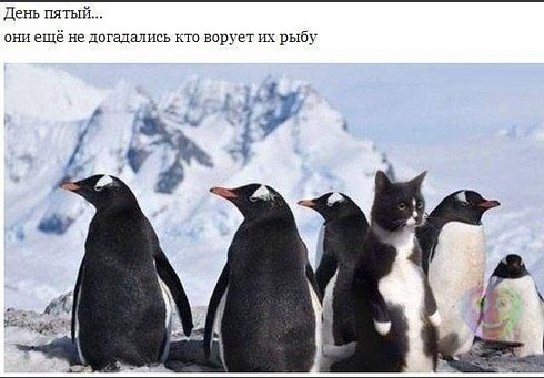 Улыбнуло))