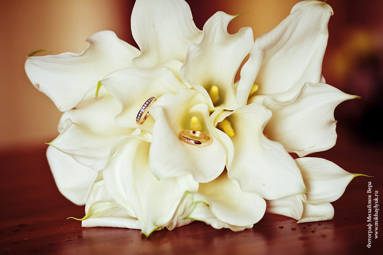 Свадьба. Катя и Олег