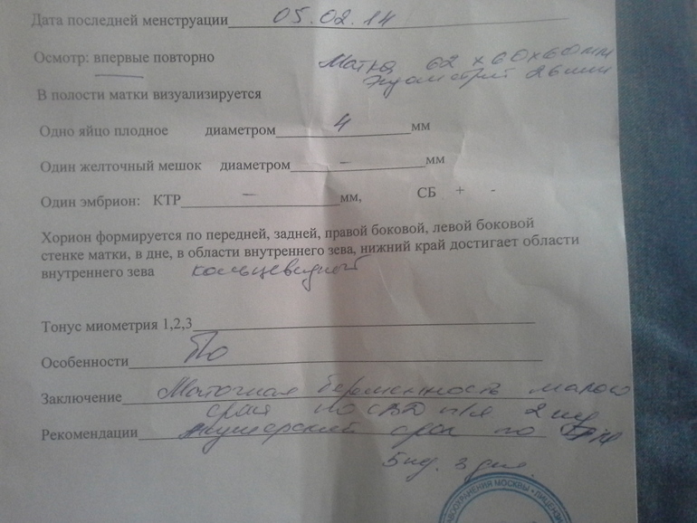 мое первое узи