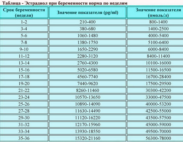 Уровень содержания эстрогена в организме женщины: норма и отклонения