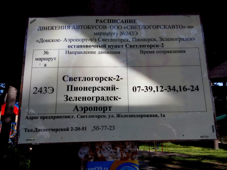 Расписание автобуса храброво калининград. Светлогорск-Зеленоградск расписание. Автобус Светлогорск Зеленоградск. Расписание автобусов Светлогорск Зеленоградск. Расписание автобусов Пионерский Зеленоградск.