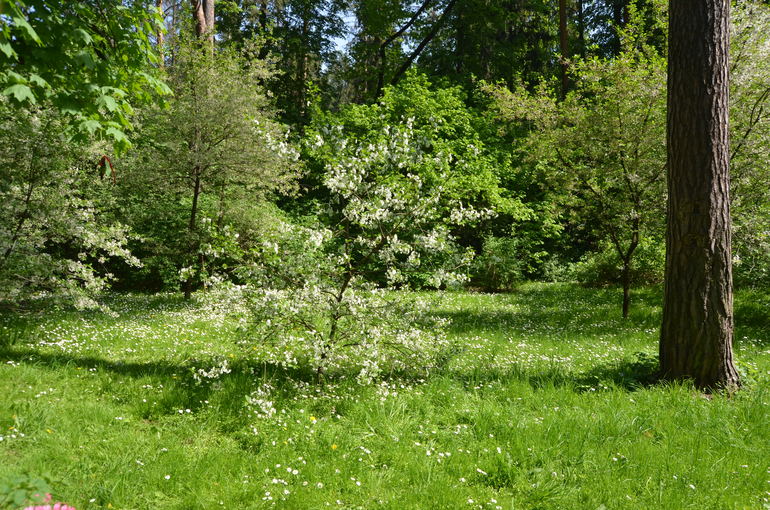 Здравствуй, лето - 2014! (18 мая)