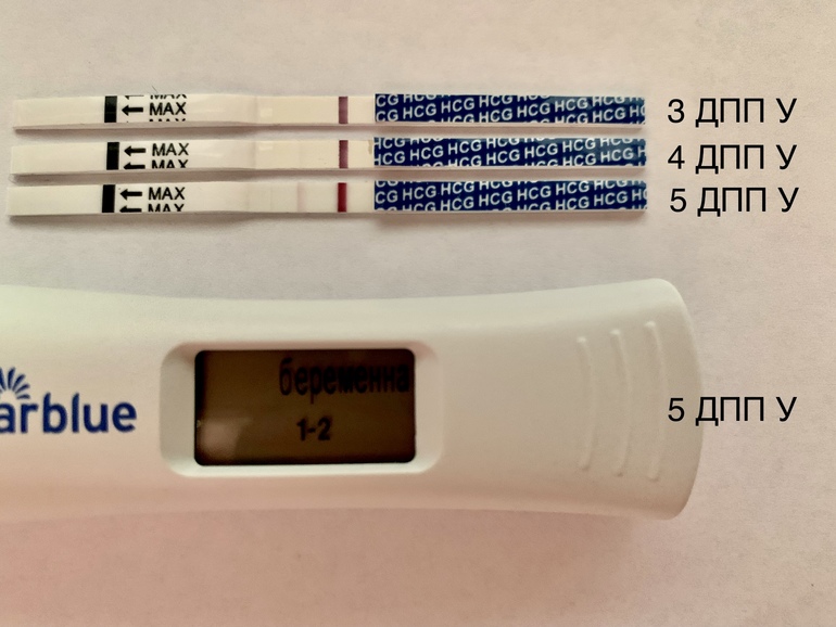 10 день криопереноса. 5дпп Эви. Тест на 5 ДПП пятидневок крио. 3 ДПП пятидневок тест. 4дпп тест на беременность отрицательный.