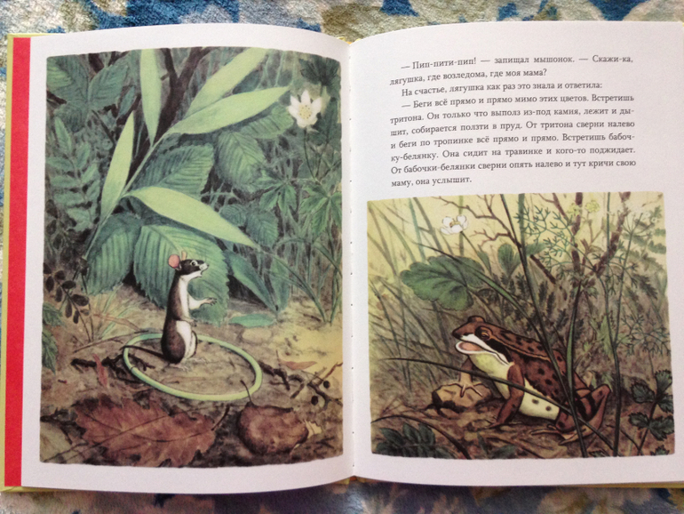 Книжное пополнение)