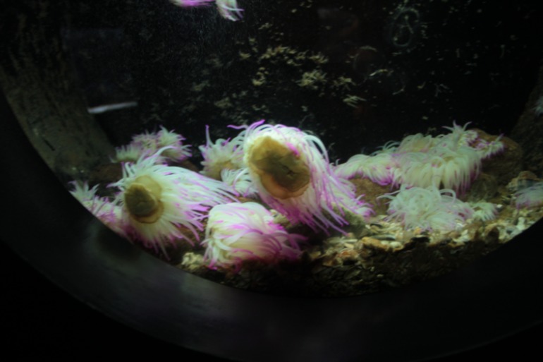 Наше путешествие в частичку Греции. остров Крит.