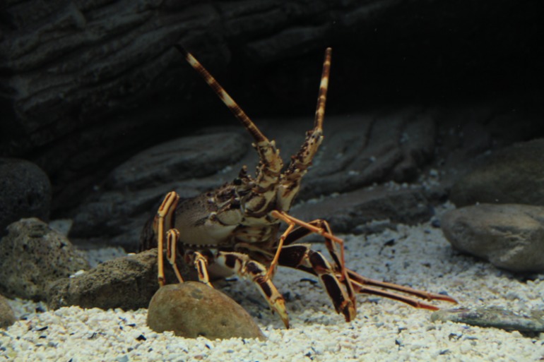 Наше путешествие в частичку Греции. остров Крит.