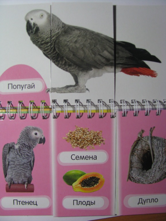 ФМ ТН "Африка". День 4. Путешествие в экваториальные леса.