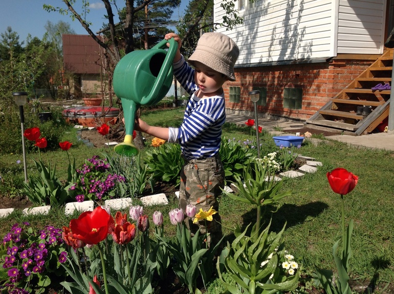 Хвалюсь тем, что выросло...