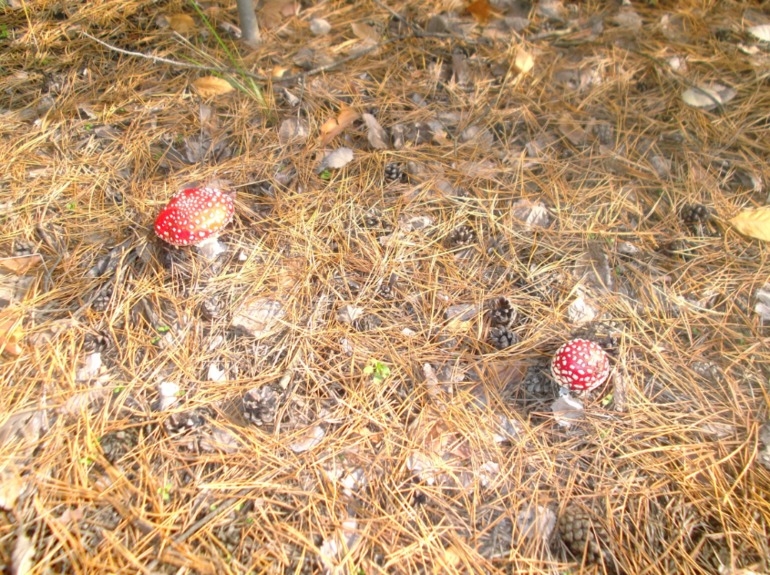 d370d2c58d921fbeeae483b1c039c76d.jpg