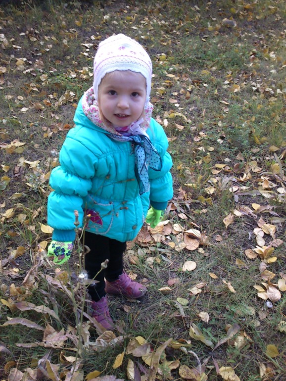 просто шли из магазина