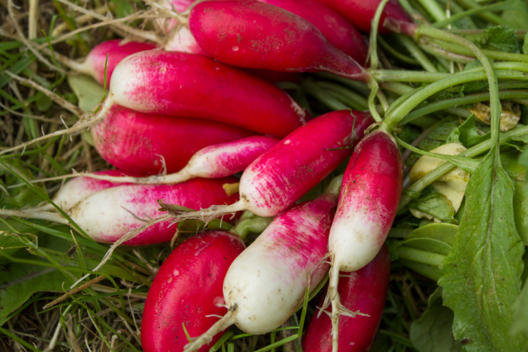 Мир вокруг нас