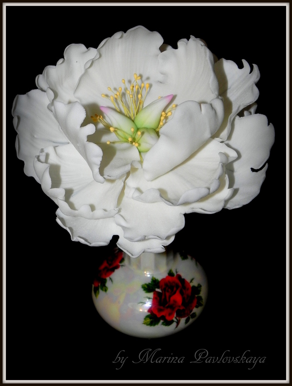 Пион мой первый