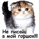 Ночной горшок((((