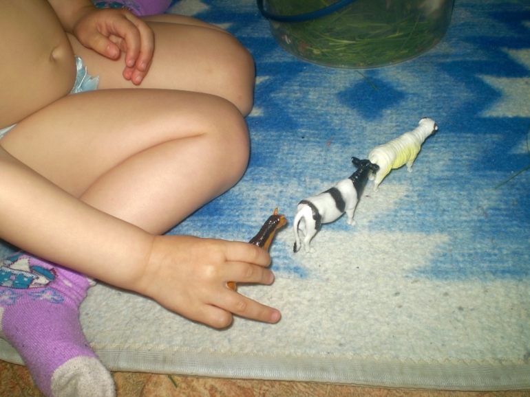 ФМ Домашние животные День 1