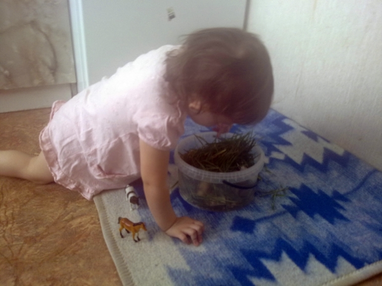 ФМ Домашние животные День 1