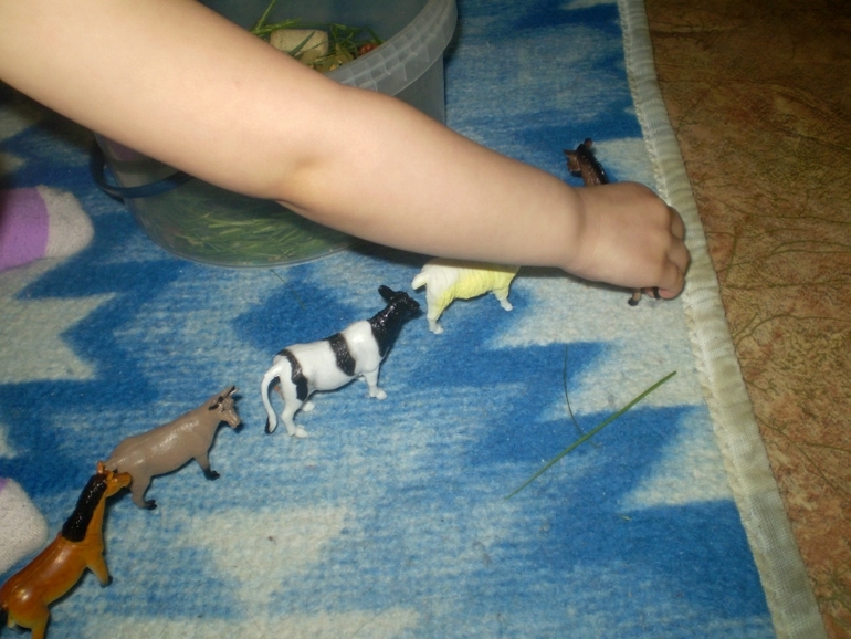 ФМ Домашние животные День 1