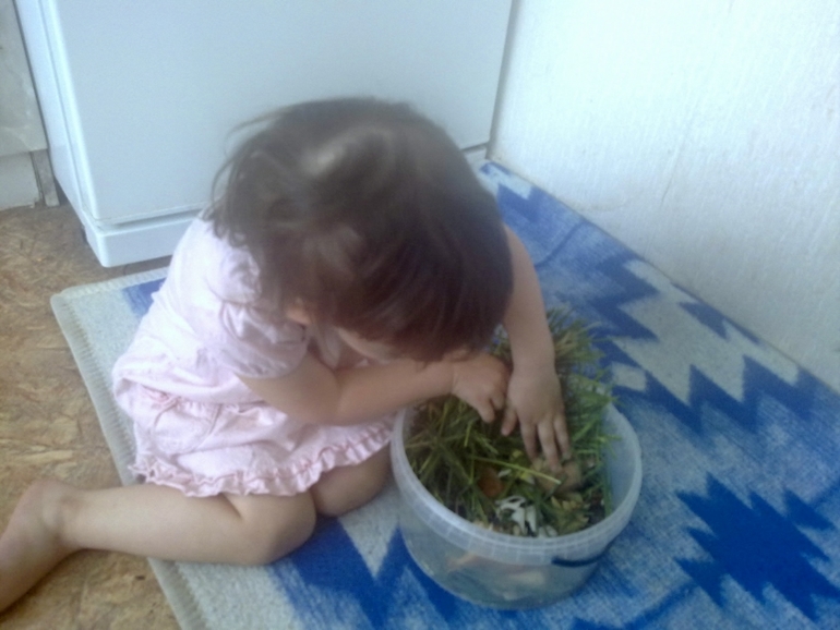 ФМ Домашние животные День 1