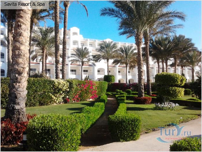 ЕГИПЕТ. Siva sharm 5* вылет 4 и 8 июня!!