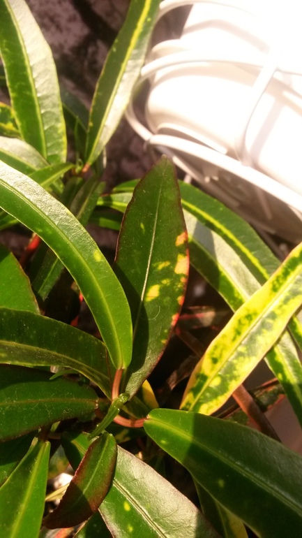 Ну и я покажу свое хозяйство