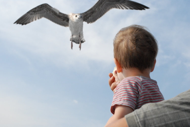 Греция по чуть-чуть)