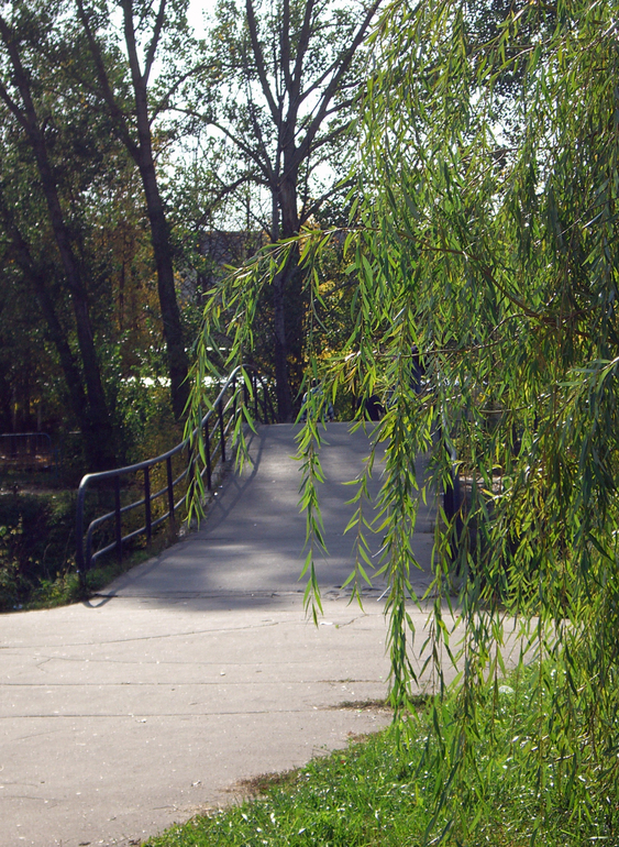 фотоугадайка