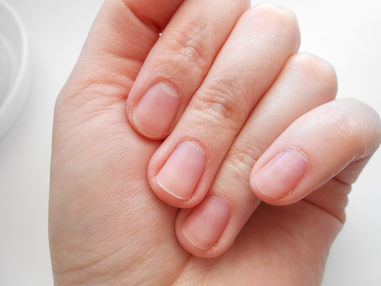 моё любимое дело