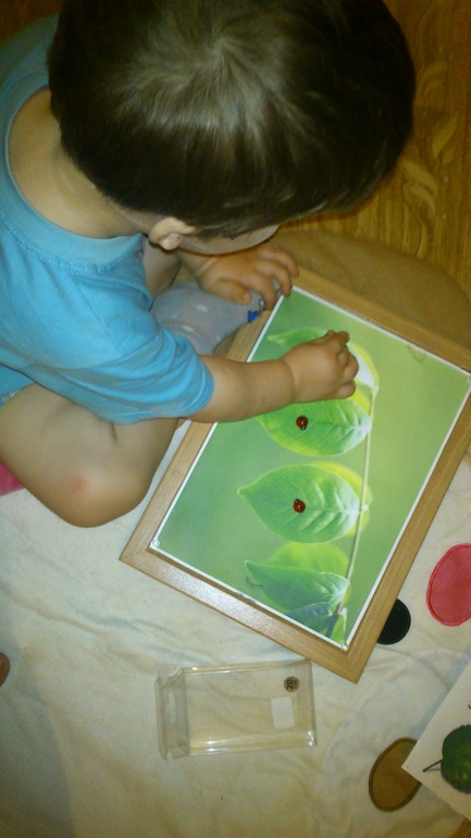 Игры с пробковой доской